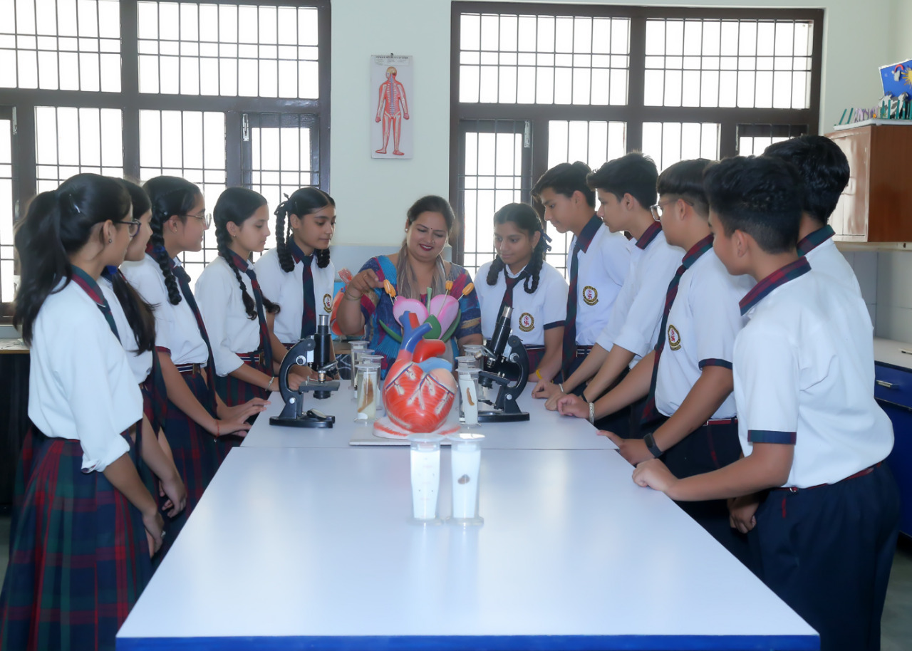 S.D.City Public School